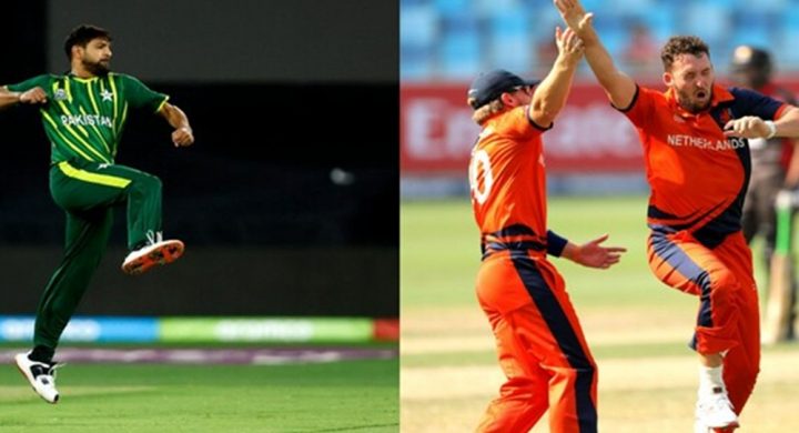 حارث رؤف کی تیز رفتار گیند منہ پرلگنے سے نیدرلینڈزکا بیٹر باس ڈیلیڈا زخمی بھی ہوا۔فائل فوٹو