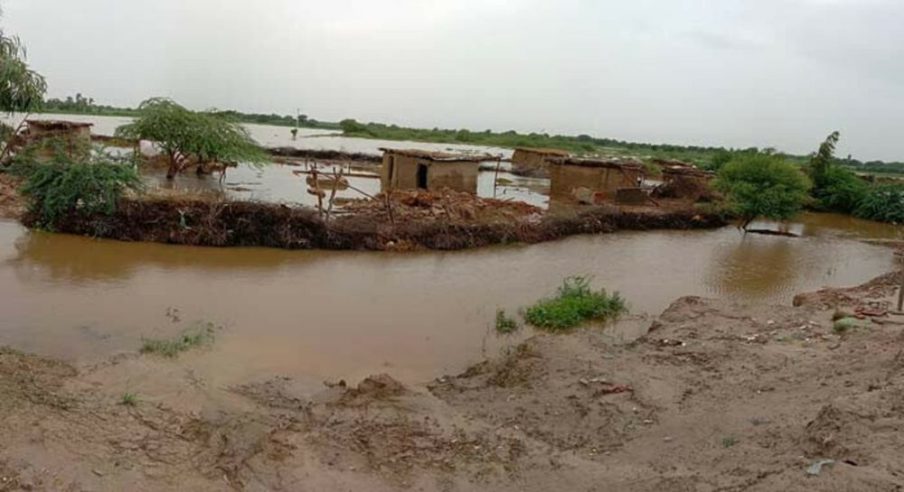 سیلابی پانی نہ نکالا جا سکا