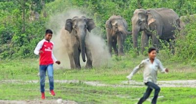 ہاتھیوں کو بھگانے کے لیے مشتعل ہجوم نے شور شرابہ کیا جس سے ہاتھی بدک گئے،فائل فوٹو