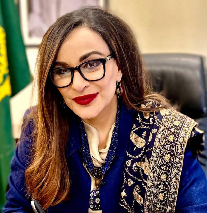 پیپلز پارٹی نے پی ٹی آئی کے دور حکومت میں لانگ مارچ کیا لیکن ایک گملا نہیں ٹوٹا، فائل فوٹو
