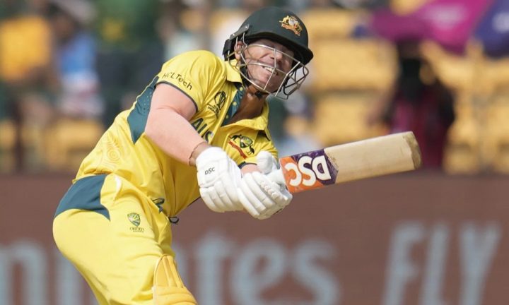 کراچی کنگز نے ڈیوڈ وارنر کو اس سال پلاٹینم کیٹیگری میں منتخب کیا تھا، فائل فوٹو