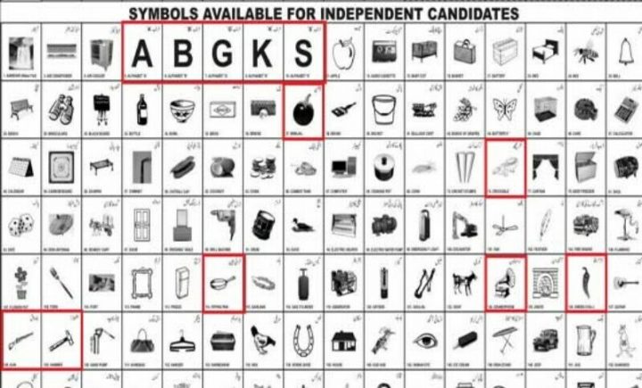  بعض متروکہ اشیا کے نشانات پر بھی امیدواروں کو اعتراض- آزاد امیدوار پسندیدہ نشان لینے کا حقدار نہیں، فائل فوٹو