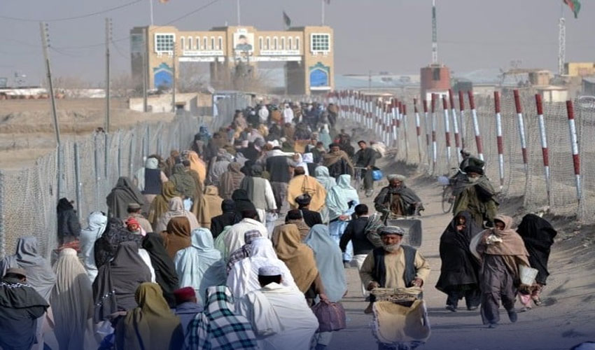 دوسرے مرحلے میں پچیس لاکھ مہاجرین کے افغان سٹیزن کارڈ کا تصدیقی عمل مکمل ہو گیا، فائل فوٹو 
