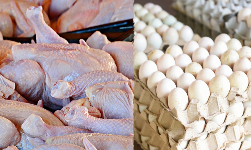  مرغی کا گوشت بھی 650 روپے فی کلو تک بیچا جانے لگا، فائل فوٹو