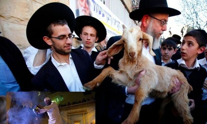 اسرائیلی پولیس نے شہر بھر میں بھی ’’پاس اوور قربانی‘‘ کی روک تھام کے لیے چھاپا مار کارروائی کیں، فائل فوٹو