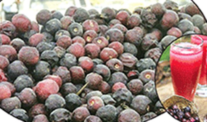 کئی اقسام کے کینسر کی روک تھام میں مفید- جلد کی نشونما میں بھی کارگر ہے، فائل فوٹو