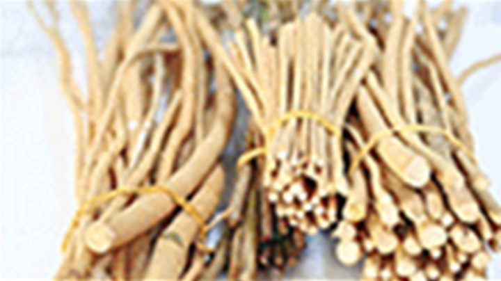 بعض عرب ممالک میں مسواکی کہا جاتا ہے، فائل فوٹو