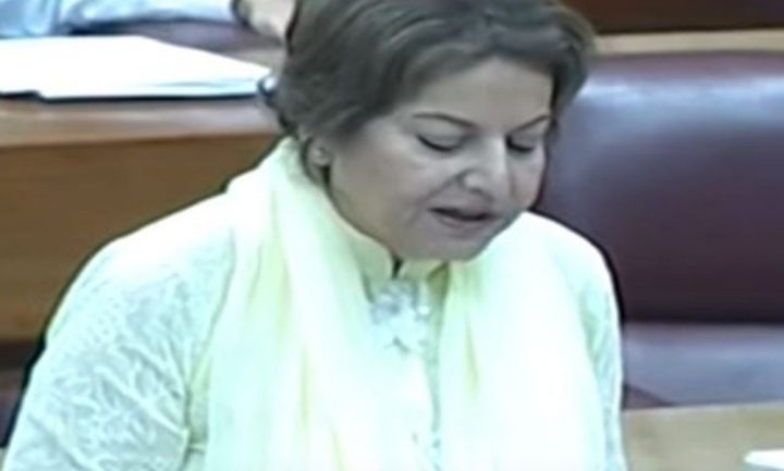 رکن قومی اسمبلی شائستہ پرویز ملک نے قرارداد پیش کی، فائل فوٹو