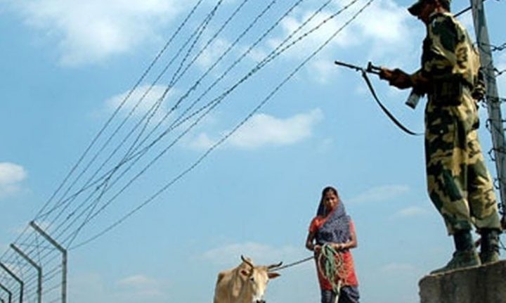 یہ واقعہ رات گئے پیش آیا جب بنگلا دیشی بارڈر کے قریب کچھ لوگ اپنے مویشیوں کوکھیتوں میں گھاس چرا رہے تھے، فائل فوٹو