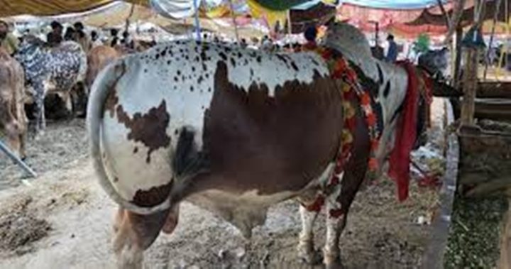  سخت احتیاط نہ برتی گئی تو وائرس پھیل سکتا ہے ، فائل فوٹو