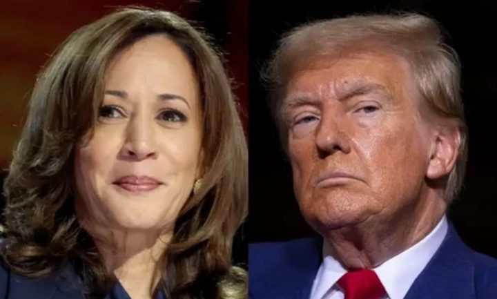 نیویارک، نیوجرسی اور ورجینیا میں پولنگ پاکستانی وقت کے مطابق سہ پہر چار بجے شروع ہوئی، فائل فوٹو