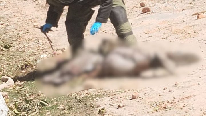 فوٹو آئی ایس پی آر