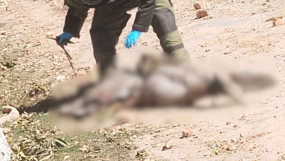 فوٹو آئی ایس پی آر