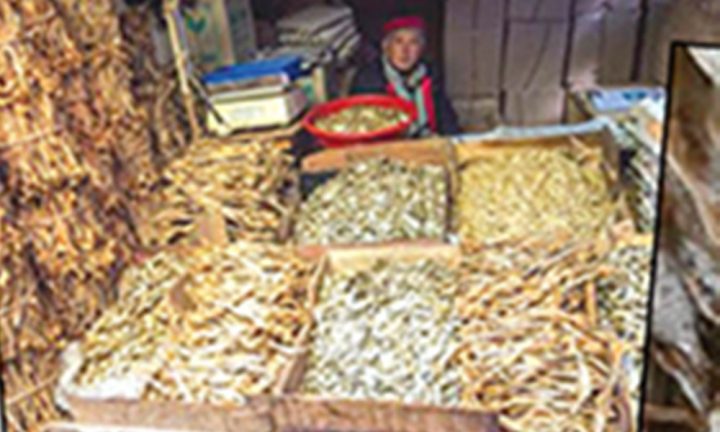  ڈرائی سی فوڈ کارخانوں میں ماہی گیر بستیوں کی خواتین اور بچوں کو روزگار مل گیا، فائل فوٹو