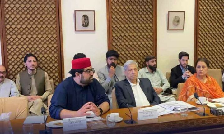 چیئرمین پی ٹی اے ایمل ولی سے بار بار معافی مانگتے رہے، ایمل ولی نے چیئرمین پی ٹی اے کیخلاف کارروائی کا مطالبہ کردیا، فائل فوٹو