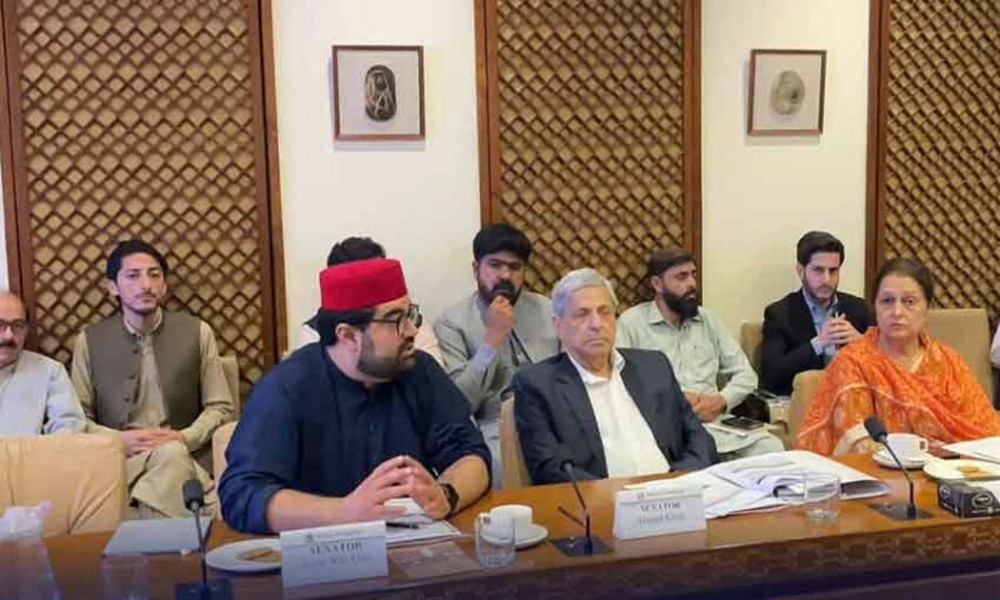 چیئرمین پی ٹی اے ایمل ولی سے بار بار معافی مانگتے رہے، ایمل ولی نے چیئرمین پی ٹی اے کیخلاف کارروائی کا مطالبہ کردیا، فائل فوٹو