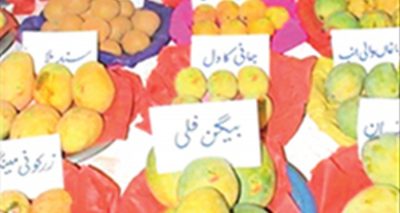 رواں برس پانی کی قلت اور موسمیاتی تغیرات کے باعث پیداوار میں 25 سے 30 فیصد کمی واقع ہوئی، فائل فوٹو