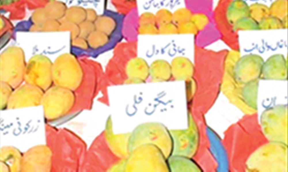 رواں برس پانی کی قلت اور موسمیاتی تغیرات کے باعث پیداوار میں 25 سے 30 فیصد کمی واقع ہوئی، فائل فوٹو