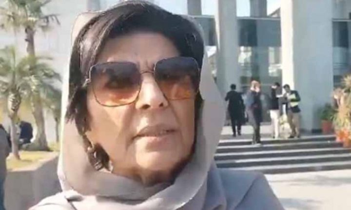 کنول شوزب کو شاید غلط سمجھ آئی تھی، فائل فوٹو