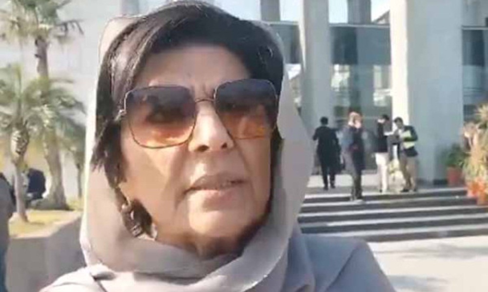 کنول شوزب کو شاید غلط سمجھ آئی تھی، فائل فوٹو