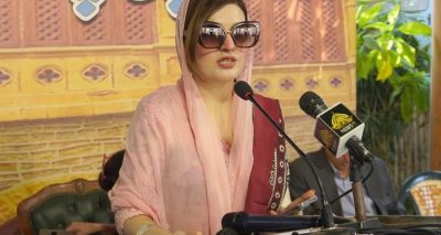 مسئلہ کشمیر کا حل اقوام متحدہ کی قرار دادوں کے مطابق ہی ممکن ہے، فوٹو بشکریہ کراچی پریس کلب