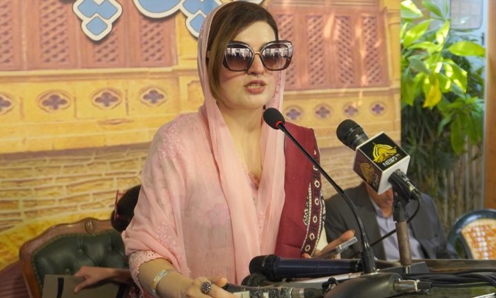 مسئلہ کشمیر کا حل اقوام متحدہ کی قرار دادوں کے مطابق ہی ممکن ہے، فوٹو بشکریہ کراچی پریس کلب