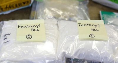 فوٹو بشکریہ سوشل میڈیا