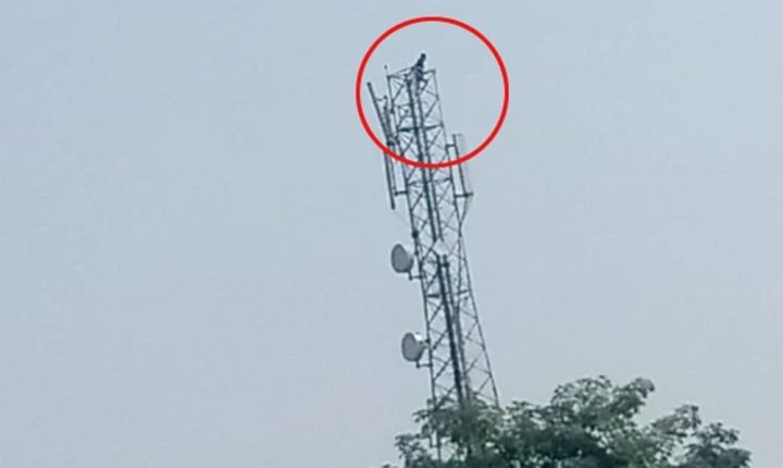 فوٹو بشکریہ سوشل میڈیا