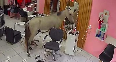 فوٹو سوشل میڈیا