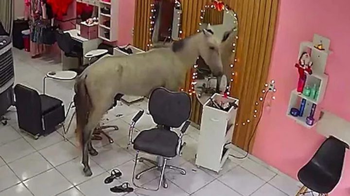 فوٹو سوشل میڈیا