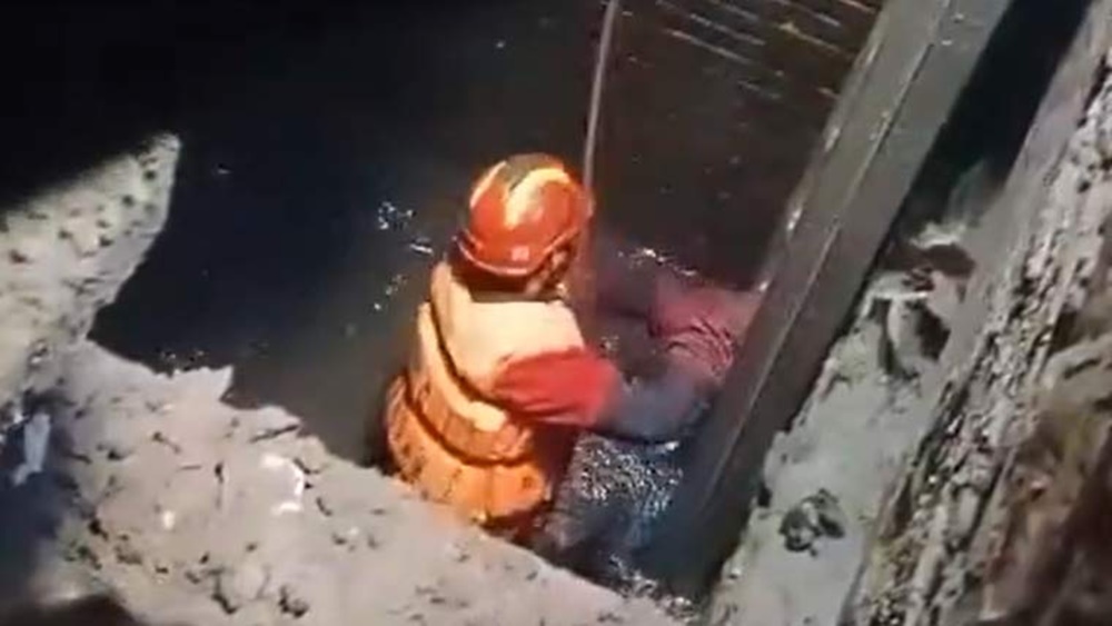 فوٹو سوشل میڈیا