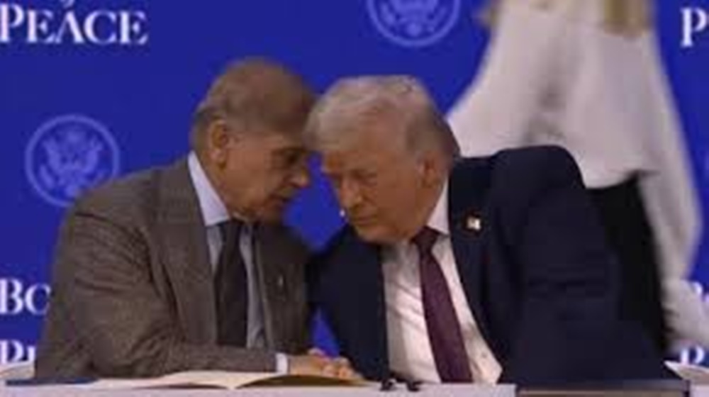 فوٹو بشکریہ سوشل میڈیا