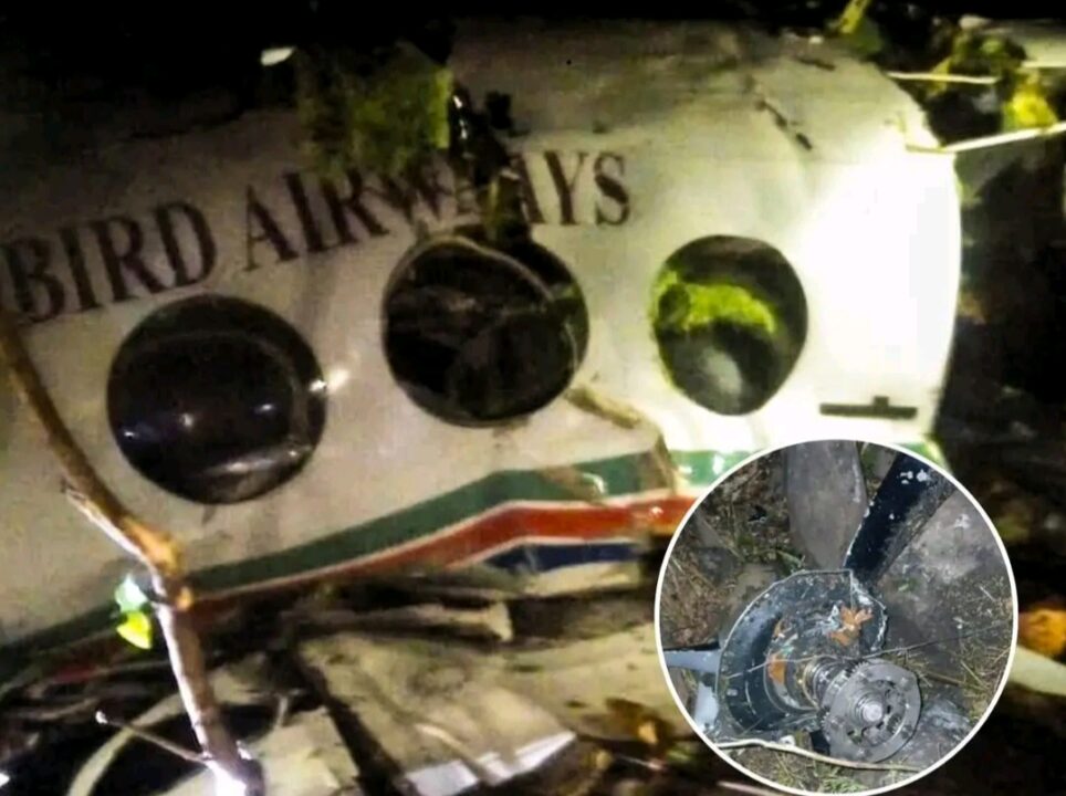 بھارتی ایئر ایمبولینس جھاڑ کھنڈ میں گر کر تباہ۔ تمام 7 مسافروں کی اموات