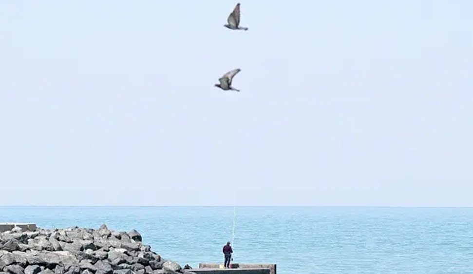 فائل فوٹو