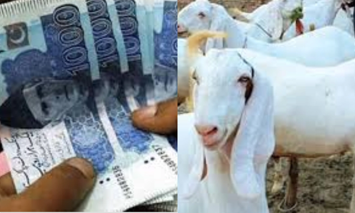 بیٹی کے جہیز کے لیے بکرے بیچنے والے شہری کو جعلی کرنسی دینے والے گرفتار