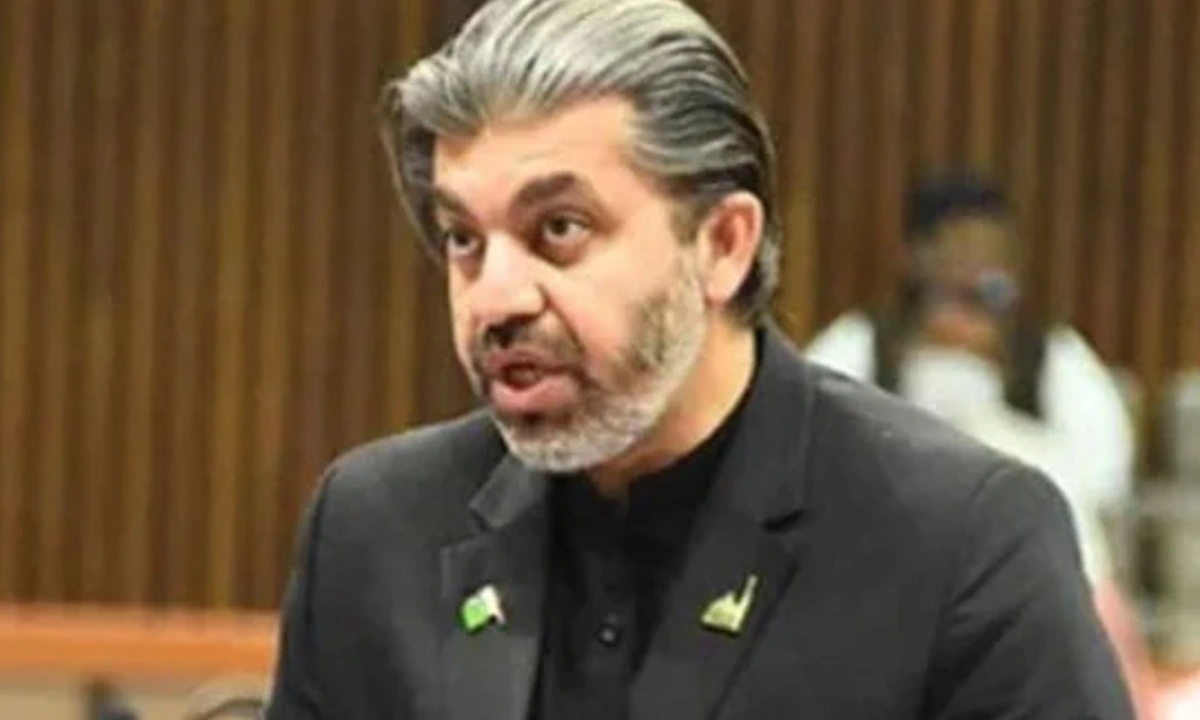 اہم قومی اداروں پر تنقید سے گریز کیا جانا چاہیے۔علی محمد خان