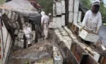 ٹرک الٹنے سے 20 لاکھ شہد کی مکھیوں کو آزادی مل گئی