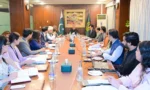 اسحاق ڈار کی سیکرٹری خارجہ اور سینئر سفارتی حکام سے ملاقات