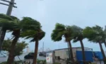 طوفان باوی نے جاپان میں تباہی مچا دی،ہزاروں افراد متاثر