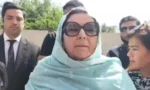 این سی سی آئی اے نوٹس پرنورین نیازی کاتحریری جواب جمع،الزامات مسترد