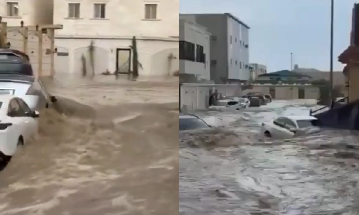 فوٹو سوشل میڈیا(ایکس)