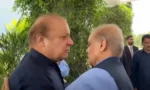 فائل فوٹو