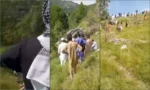 مری کے قریب مسافر بس کھائی میں گر گئی، 3 افراد جاں بحق