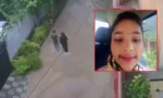 فوٹو سوشل میڈیا(x(