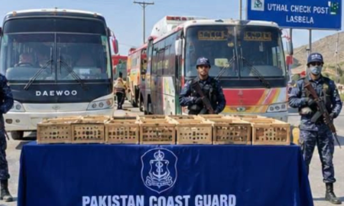 کوئٹہ سے کراچی جانے والی بسوں سے 61 باز برآمد(فوٹو سوشل میڈیا فیس بک)