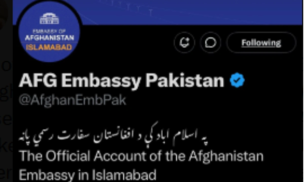 فوٹو سوشل میڈیا ایکس