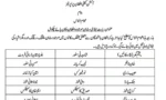 فوٹو سوشل میڈیا ( ایکس)