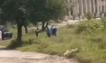 اسلام آباد کے جنگلات سے خاتون کی لاش برآمد( فوٹو سوشل میڈیا ایکس)