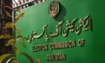 خیبر پختونخوا میں بلدیاتی انتخابات سے متعلق کیس کی سماعت 29 ستمبر کو مقرر(فائل فوٹو)