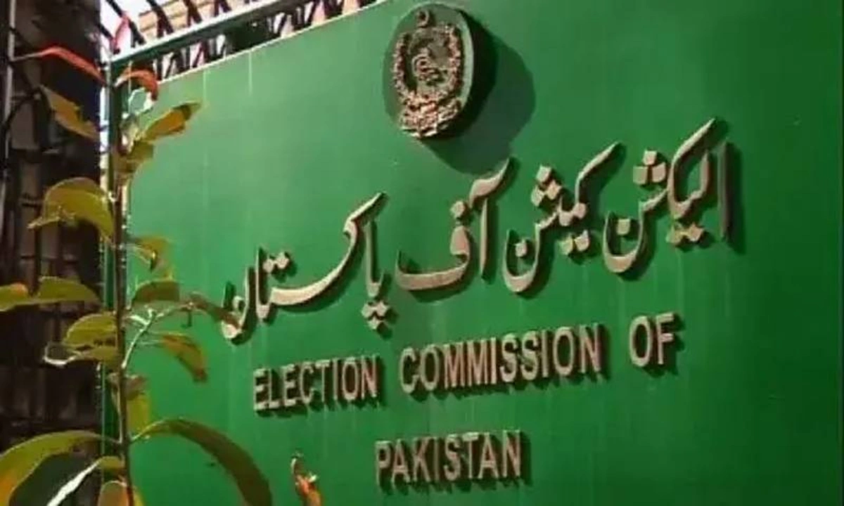 خیبر پختونخوا میں بلدیاتی انتخابات سے متعلق کیس کی سماعت 29 ستمبر کو مقرر(فائل فوٹو)